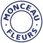 Monceau Fleurs Strasbourg